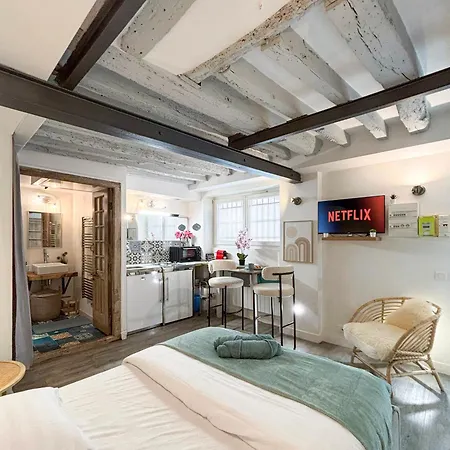 Cosy Centre Republique Marais Apartment Paris